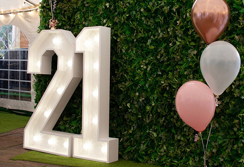 4ft 21 Light Up Numbers