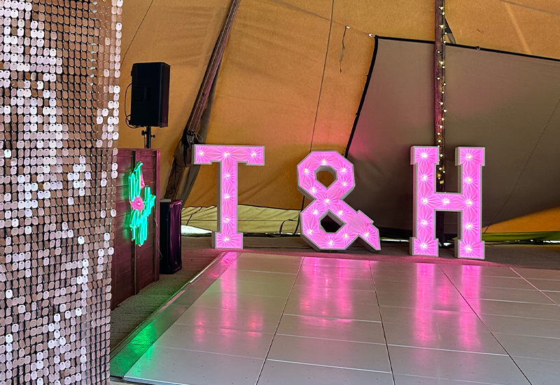 Light Up Pink Initial Letters