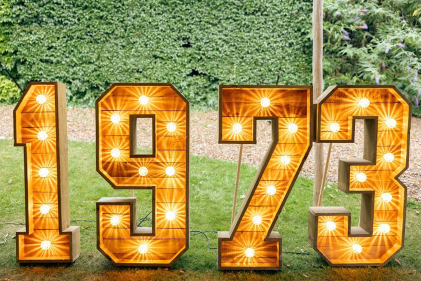 Rustic Light Up Year